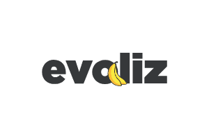 API evoliz